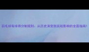 羽毛球每球得分制规则从历史演变到实战影响的全面指南