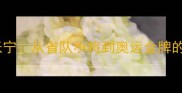 奥运冠军成长记张宁从省队小将到奥运金牌的3000天蜕变之路