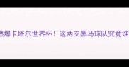 摩洛哥vs伊朗燃爆卡塔尔世界杯这两支黑马球队究竟谁能逆袭夺冠