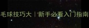 专业VS业余羽毛球技巧大新手必看入门指南附训练计划