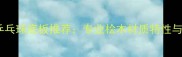单层桧木乒乓球底板推荐专业桧木材质特性与选购指南