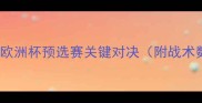 克罗地亚vs冰岛欧洲杯预选赛关键对决附战术数据与历史交锋