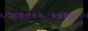武汉少儿羽毛球培训零基础入门到竞技水平专业教练1v1教学让孩子快乐成长