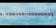 一龙VS播求世纪对决中国格斗传奇VS泰国战神巅峰碰撞全网直击热血现场