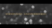 球风最佳球员历史排名技术流与团队精神的双重标杆