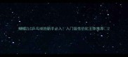 蝴蝶ZLC乒乓球拍新手必入入门级性价比王炸推荐