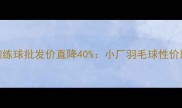 专业级训练球批发价直降40小厂羽毛球性价比之王全