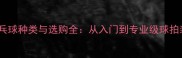 红双喜乒乓球种类与选购全从入门到专业级球拍装备指南