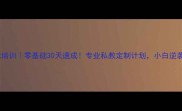 上海浦东羽毛球培训零基础30天速成专业私教定制计划小白逆袭大满贯攻略