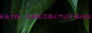 羽毛球鞋保养全攻略正确使用湿毛巾和干燥剂防潮防霉技巧