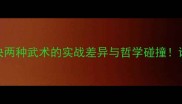 拳击vs太极终极对决两种武术的实战差异与哲学碰撞谁才是现代格斗王者