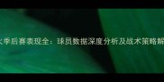 热火季后赛表现全球员数据深度分析及战术策略解读