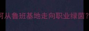 山东青训新星崛起文雁行如何从鲁班基地走向职业绿茵中国足球未来之星的成长密码