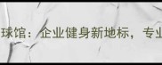 济南星河工业园羽毛球馆企业健身新地标专业场地助力高效运动