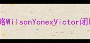 耐打羽毛球选购全攻略WilsonYonexVictor闭眼入指南附避坑清单