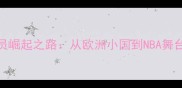 波兰籍NBA球员崛起之路从欧洲小国到NBA舞台的传奇故事