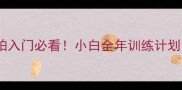 蝴蝶乒乓球拍入门必看小白全年训练计划与装备指南