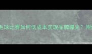赞助业余羽毛球比赛如何低成本实现品牌曝光附详细执行方案