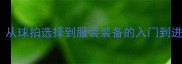 乒乓球装备搭配全攻略从球拍选择到服装装备的入门到进阶指南附品牌推荐