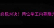 泰森VS史密斯拳击史终极对决两位拳王内幕曝光谁将登顶必看