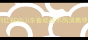 中超巅峰对决深圳红钻VS山东鲁能战术高清集锦与历史战绩全回顾