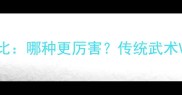 螳螂拳vs散打实战对比哪种更厉害传统武术VS现代竞技谁更占优