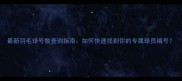 最新羽毛球号数查询指南如何快速找到你的专属球员编号