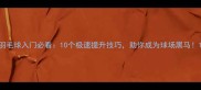 羽毛球入门必看10个极速提升技巧助你成为球场黑马