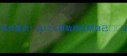 度最强阵容球员盘点这12人用数据证明自己必看足球盛宴