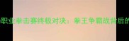 邹市明第六场职业拳击赛终极对决拳王争霸战背后的热血与坚持