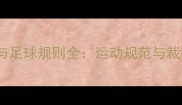 乒乓球与足球规则全运动规范与裁判要点