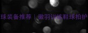 羽毛球装备推荐徽羽训练鞋球拍护具测评