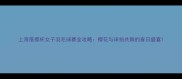 上海落樱杯女子羽毛球赛全攻略樱花与球拍共舞的春日盛宴