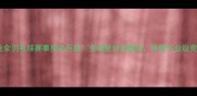 上海市业余羽毛球赛事报名开启全城爱好者集结体验专业级竞技舞台