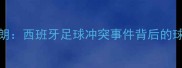 深度卡拉巴vs迪德朗西班牙足球冲突事件背后的球迷文化与社会影响