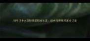 羽毛球十大国际球星职业生涯技术与赛场风采全记录