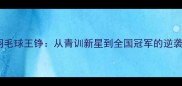 天津羽毛球王铮从青训新星到全国冠军的逆袭之路
