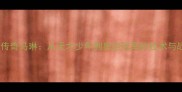 羽毛球传奇马琳从天才少年到奥运冠军的技术与战略全