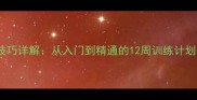 羽毛球专业教学技巧详解从入门到精通的12周训练计划与实战应用指南