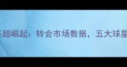 南美球员英超崛起转会市场数据五大球星表现亮眼