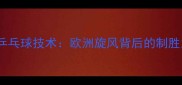 波尔乒乓球技术欧洲旋风背后的制胜之道