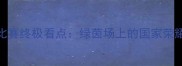 世界杯足球比赛终极看点绿茵场上的国家荣耀与战术博弈