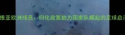 玻利维亚欧洲球员归化政策助力国家队崛起的足球启示录
