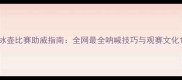 冰壶比赛助威指南全网最全呐喊技巧与观赛文化