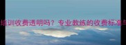 钟凯乒乓球培训收费透明吗专业教练的收费标准与课程体系