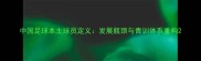中国足球本土球员定义发展瓶颈与青训体系重构
