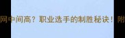 羽毛球网中间高职业选手的制胜秘诀附训练方法