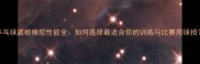乒乓球底板橡胶性能全如何选择最适合你的训练与比赛用球拍