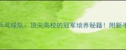 北京交大乒乓球队顶尖高校的冠军培养秘籍附新手入门全攻略