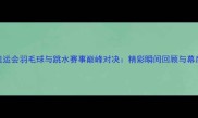 里约奥运会羽毛球与跳水赛事巅峰对决精彩瞬间回顾与幕后故事
